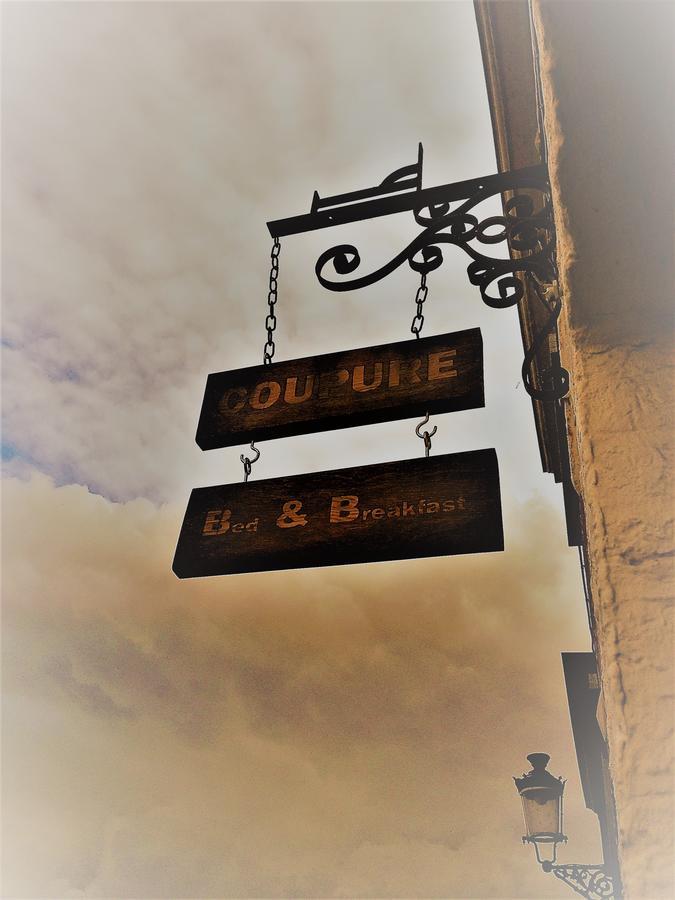 B&B Coupure Brugge Dış mekan fotoğraf